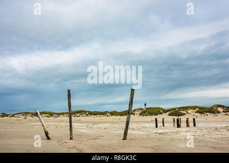 Dune dell'isola del Mare del Nord Amrum, Germania. Foto Stock