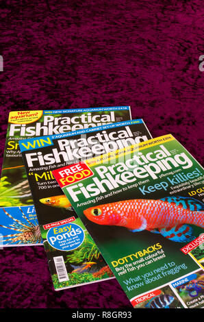 Pratico per gli appassionati di Fishkeeping rivista mensile o periodico, REGNO UNITO Foto Stock