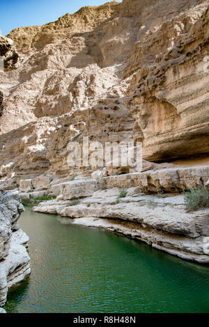 Una piscina naturale e fiume nel canyon del famoso e turistici di Wadi Fusc, Tiwi, Sultanato di Oman, Medio Oriente Foto Stock