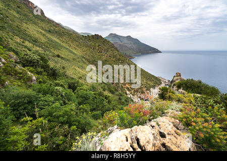 Paesaggio con vegetazione mediterranea nella riserva naturale "Riserva dello Zingaro", San Vito Lo Capo, Sicilia, Italia Foto Stock