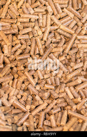 Pellet biomassa- close up studio shot. ripresa macro di efficienza energetica pellet di legno riempie il telaio. Pellet di legno vicino fino .i biocarburanti. Pellet di biomassa - che Foto Stock