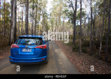 La guida auto attraverso boschi durante i weekend roadtrip. Foto Stock