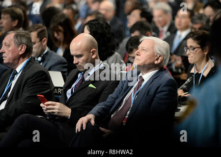 Pechino, Polonia. 3 dicembre, 2018. I partecipanti frequentano la Conferenza delle Nazioni Unite sul Cambiamento Climatico a Katowice, Polonia, Dicembre 3, 2018. Credito: Jaap Arriens/Xinhua/Alamy Live News Foto Stock