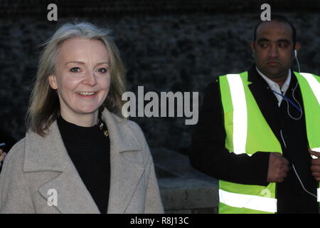 Liz Truss mp conservatore in Westminster, Londra, Regno Unito il 12 dicembre 2018. I politici britannici. MPS. politica. Politica inglese. Russell Moore/Alamy. Foto Stock