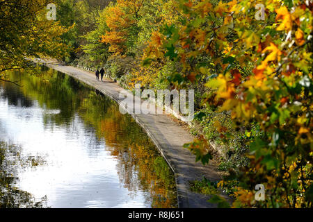 Autunno a Regents Park, London, Regno Unito Foto Stock