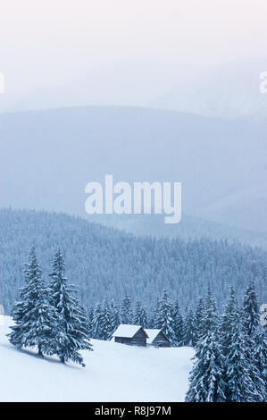 Fantastica vista d'inverno. Case in legno in una radura in montagna. Paesaggio con una foresta di abeti rossi sotto la neve Foto Stock