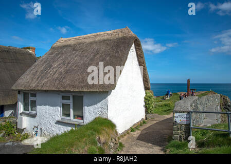 Piccolo cottage con il tetto di paglia su una beautifulsummer giorno nel villaggio di pescatori di Cadgwith Cornwall Regno Unito Europa Foto Stock
