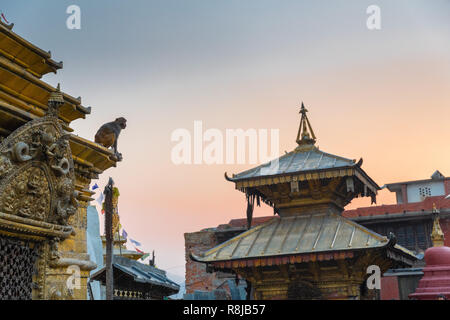 Scimmia macaco e guardare il tramonto seduti sulla cima di un santuario a Swayambhunath (tempio delle scimmie), Kathmandu, Nepal, Asia Foto Stock