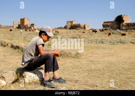 Pastore kid in attesa per le vacche a pascolare Foto Stock
