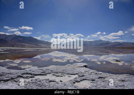 Il Trekking lungo il Tso Kar Lago, Ladakh, Indiavi Foto Stock