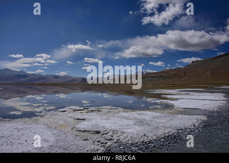 Il Trekking lungo il Tso Kar Lago, Ladakh, Indiavi Foto Stock