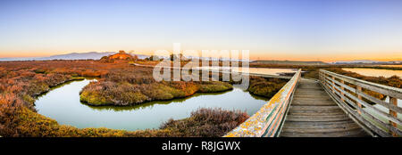 Passerella in legno attraverso le paludi di marea di Alviso, Don Edwards San Francisco Bay National Wildlife Refuge, San Jose, California; vista tramonto Foto Stock