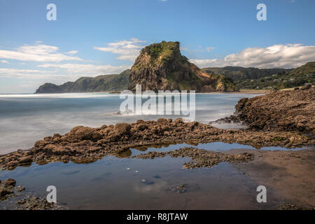 Piha Beach, Auckland, Lion Rock, Isola del nord, Nuova Zelanda Foto Stock