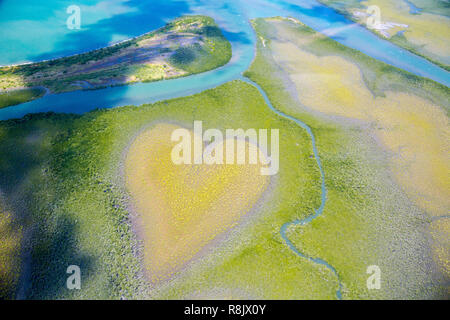 Cuore di Voh, vista aerea, formazione di mangrovie vegetazione assomiglia ad un cuore visto da sopra, Nuova Caledonia, Micronesia, Oceano Pacifico del Sud. Cuore di terra. La giornata della terra. Amare la vita, salvare l'ambiente. Foto Stock