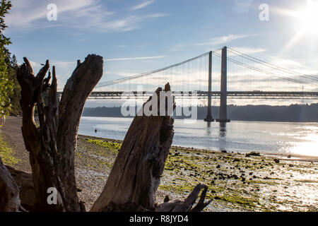 Legno di deriva lungo la spiaggia nei pressi di Tacoma Narrows Bridge Foto Stock