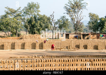 Suolo fila di mattoni di fango in luogo aperto a essiccazione. lavoro donna fare mattoni Foto Stock