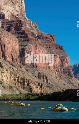 Stati Uniti, Arizona, il Parco Nazionale del Grand Canyon, rafting lungo il fiume Colorado tra Lee traghetto vicino a pagina e Ranch Phantom Foto Stock