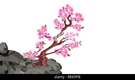 Sakura blumi. Ciliegio su una scogliera di pietra in montagna. illustrazione Illustrazione Vettoriale
