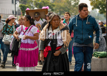 Pellegrini in cammino verso la Basilica di Nostra Signora di Guadalupe a Città del Messico Foto Stock