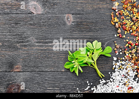 Mazzetto di fresco fieno greco con il verde delle foglie e fiori di colore bianco, sale, pepe, semi di fieno greco su di un legno nero lo sfondo della scheda Foto Stock