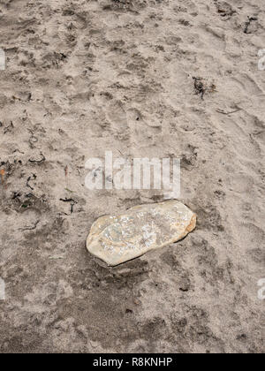 Pietra solitario lavato fino ad una spiaggia di sabbia in Cornovaglia, UK. Metafora qualcosa di nascosto dalla vista, isolamento isolato. Foto Stock