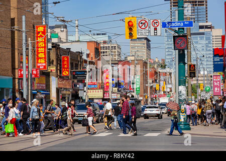 Canada, Provincia di Ontario, città di Toronto, Chinatown, Spadina Avenue, crosswalk Foto Stock