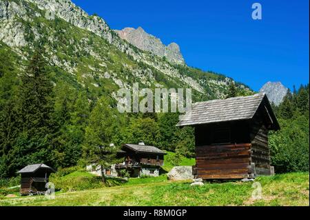 Francia, Haute-Savoie, Argentière, Tour du Mont Blanc, Chalets e sculture a tré-le-Champs Foto Stock