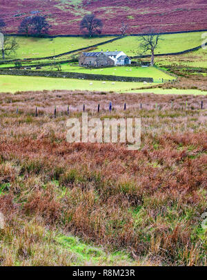 Un autunno autunno vista di una casa colonica in remoto nel Lake District inglese. Foto Stock