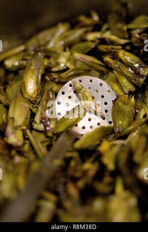 Francia, Parigi, Maison Rostang ristorante da Michel Rostang, la preparazione di una salsa di carciofi Foto Stock