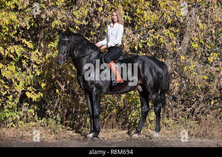 Cavallo - donna in sella ad un cavallo. Cavallo e modello equestre ragazza in Giallo autunno boschi Foto Stock