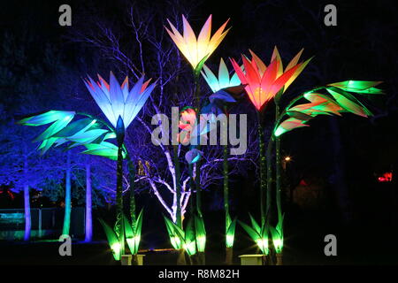 Glow 2018, luci interattive. Giardino RHS Wisley, Woking, Surrey, England, Regno Unito, Europa. Foto Stock