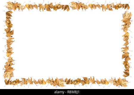 In autunno o inverno fanno cornice con foglie su sfondo bianco Foto Stock
