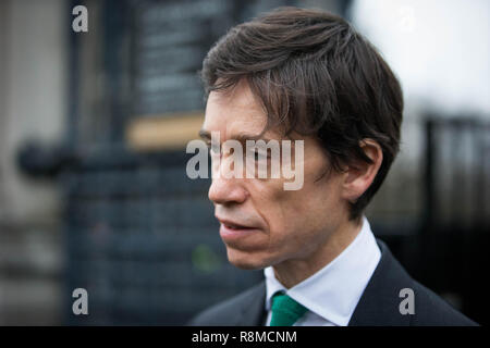 Rory Stewart OBE MP, Ministro di Stato, parlando al di fuori della House of Commons, Westminster. Dotato di: Rory Stewart OBE MP Dove: Londra, Regno Unito quando: 15 Nov 2018 Credit: Wheatley/WENN Foto Stock