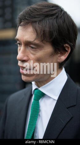 Rory Stewart OBE MP, Ministro di Stato, parlando al di fuori della House of Commons, Westminster. Dotato di: Rory Stewart OBE MP Dove: Londra, Regno Unito quando: 15 Nov 2018 Credit: Wheatley/WENN Foto Stock