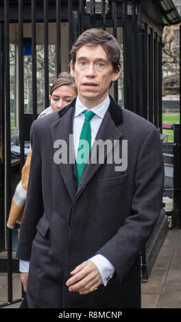 Rory Stewart OBE MP, Ministro di Stato, parlando al di fuori della House of Commons, Westminster. Dotato di: Rory Stewart OBE MP Dove: Londra, Regno Unito quando: 15 Nov 2018 Credit: Wheatley/WENN Foto Stock