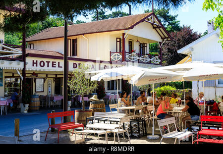 L'herbe, Cap Ferret, Francia Foto Stock