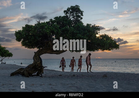 Aruba Beach e Divi-Divi tree Eagle Beach Aruba - i turisti a piedi verso il mondo famoso Divi Divi alberi aka. Libidibia coriaria Foto Stock