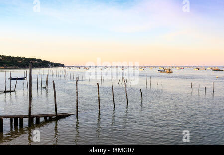 Piraillan, Cap Ferret, Francia Foto Stock