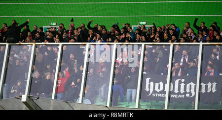 Groningen, Paesi Bassi. 16 dic 2018. French Ligue 2, i sostenitori di FC Emmen durante la partita FC Groningen - FC Emmen. Credito: Pro scatti/Alamy Live News Foto Stock