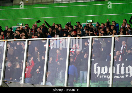 Groningen, Paesi Bassi. 16 dic 2018. French Ligue 2, i sostenitori di FC Emmen durante la partita FC Groningen - FC Emmen. Credito: Pro scatti/Alamy Live News Foto Stock