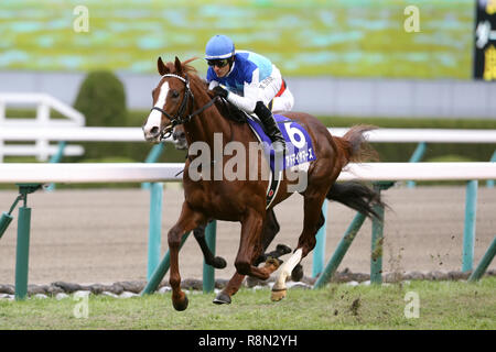 Hyogo, Giappone. Xvi Dec, 2018. Ammirare Marte ( Mirco Demuro) Horse Racing : ammirare Marte cavalcato da Mirco Demuro vince la Asahi Hai Futurity Stakes di Hanshin Racecourse a Hyogo, Giappone . Credito: Eiichi Yamane/AFLO/Alamy Live News Foto Stock