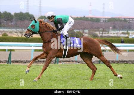 Hyogo, Giappone. Xvi Dec, 2018. Kurino Gaudi (Yusuke Fujioka) Horse Racing : Kurino Gaudi cavalcato da Yusuke Fujioka prima della Asahi Hai Futurity Stakes di Hanshin Racecourse a Hyogo, Giappone . Credito: Eiichi Yamane/AFLO/Alamy Live News Foto Stock