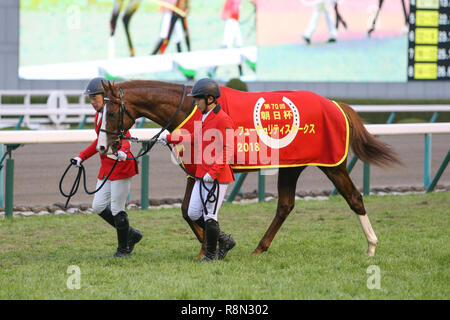 Hyogo, Giappone. Xvi Dec, 2018. Ammirare Marte Horse Racing : ammirare Marte dopo aver vinto la Asahi Hai Futurity Stakes di Hanshin Racecourse a Hyogo, Giappone . Credito: Eiichi Yamane/AFLO/Alamy Live News Foto Stock