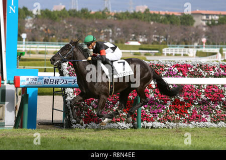 Hyogo, Giappone. Xvi Dec, 2018. Re Listeia (Yuga Kawada) Horse Racing : Re Listeia cavalcato da Yuga Kawada vince la Hanshin 5R Debutto Hanshin all Ippodromo di Hanshin a Hyogo, Giappone . Credito: Eiichi Yamane/AFLO/Alamy Live News Foto Stock