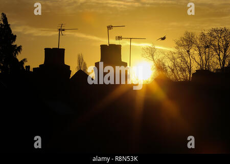 Londra, Regno Unito. Xvii Dec, 2018. Un uccello è visto volare durante un inverno golden sun sorge oltre a Londra. Credito: Dinendra Haria/SOPA Immagini/ZUMA filo/Alamy Live News Foto Stock