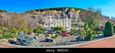 Colorate di conifere nane alberi, cespugli e fiori tra i sassi in autunno da giardino in legno e arbor in ombra di diffusione di salici. Bella landsc Foto Stock