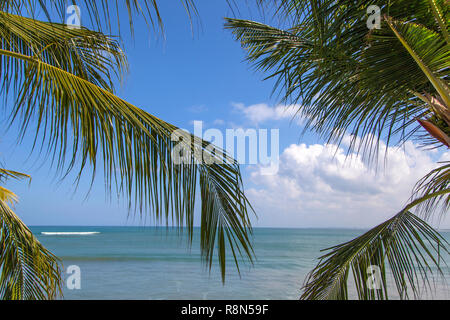 Indonesia Bali Kuta beach palme vista oceano. Foto Stock