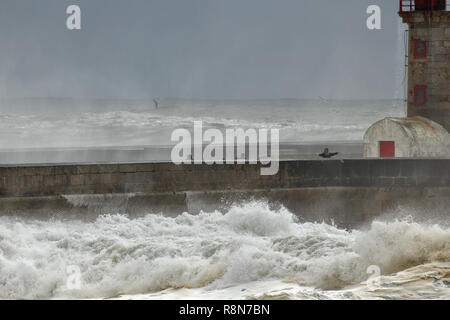 Porto, Portogallo - 7 Febbraio 2016: persone guardando storm in bocca del fiume Douro Foto Stock