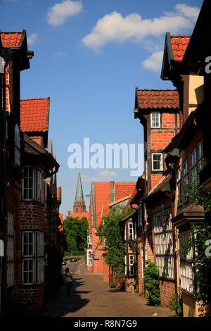 Case in strada auf dem Meere, città vecchia, Lüneburg, Lueneburg, Bassa Sassonia, Germania, Europa Foto Stock