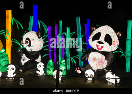 Illuminato cinese panda orsi in Cina Light Festival Foto Stock